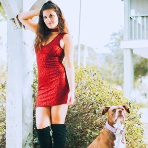 Metallic Red Holiday Dress